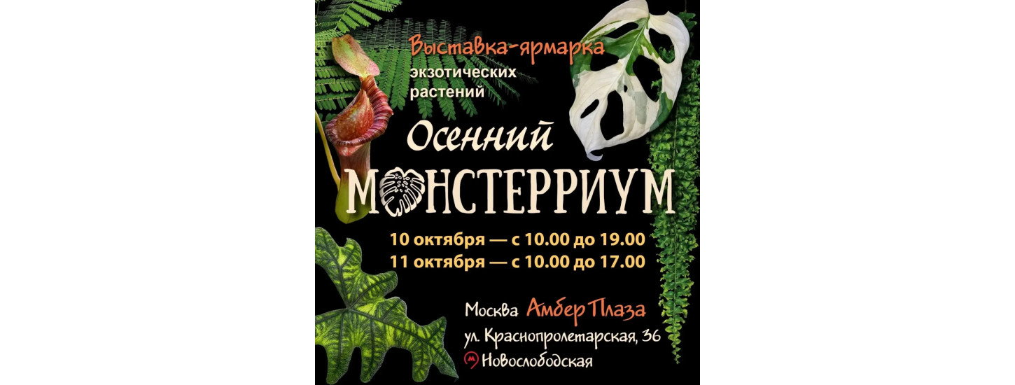Орхид